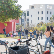 70 Things You Might Not Know About Tel Aviv University