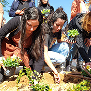 Tree Planting Ceremony Honoring October 7th Victims: A Symbol of Remembrance and Hope