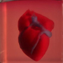 TAU scientists print first ever 3D heart using patient’s own cells