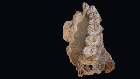 Remains of earliest modern human outside of Africa discovered