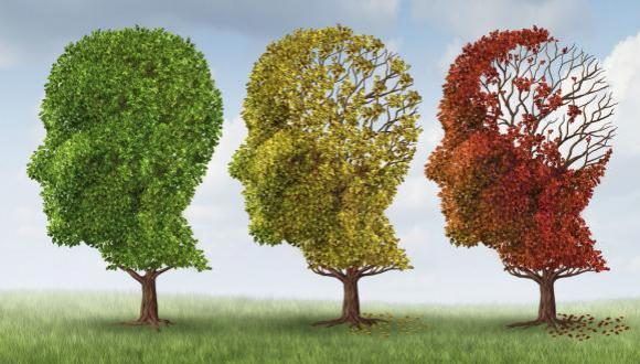 Effects of Alzheimer's may be reversed by enzyme treatment