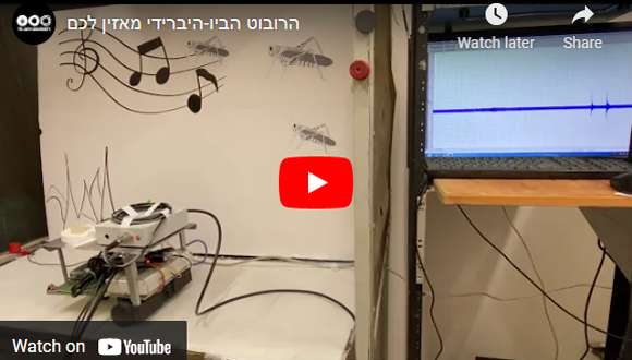 Robot “Hears” through the Ear of a Locust