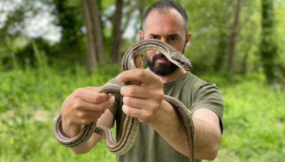 A 99-Million-Year-Old Lizard Tail Reveals an Ancient Survival Trick A 99-Million-Year-Old Lizard Tail Reveals an Ancient Survival Trick