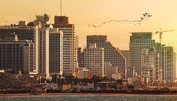 We're on course. A flock of migrating birds in the skies over Tel Aviv.