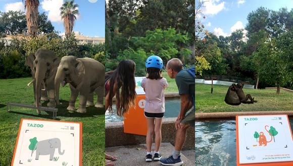 Revisiting the Tel Aviv Zoo