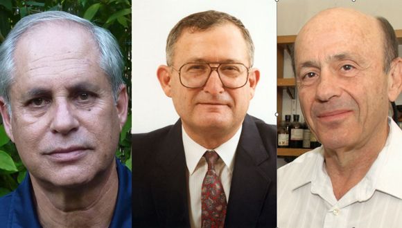 From left to right: Prof. Avital Gasith, Prof. Yoram Dinstein and Prof. Emanuel Peled 