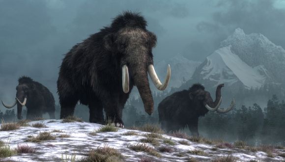 Why Did Early Humans Stop Using Massive Stone Tools?