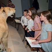 Steinhardt Museum inaugurated with flare and critters