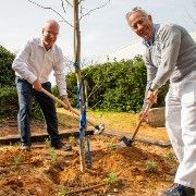 Trees Planted in Memory of TAU Governors Annie and Marcel Adams  