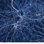 TAU links growth factor to development of Alzheimer's disease