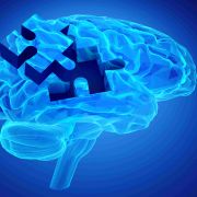 TAU Alzheimer’s Research Targets Major Genetic Risk Factor