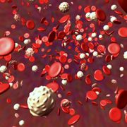TAU research on immune system finds new mechanism