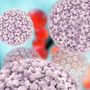 TAU scientists develop nano-vaccine for melanoma