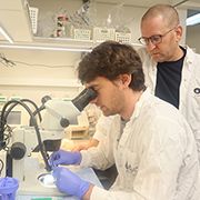 New Biological Mechanism Boosts Myelin Production in the Brain