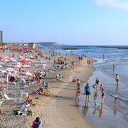 Who's Protecting Israel's Beaches?